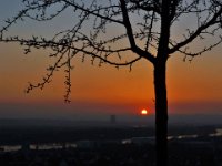 sonne-maerz-2014-2  Sonnenuntergang über dem Neuwieder Becken Teil 2